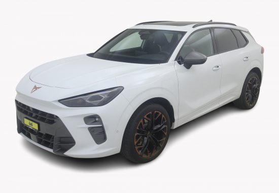 CUPRA Terramar 2.0 TSI VZ 4Drive DSG - Auto Welt von Rotz AG