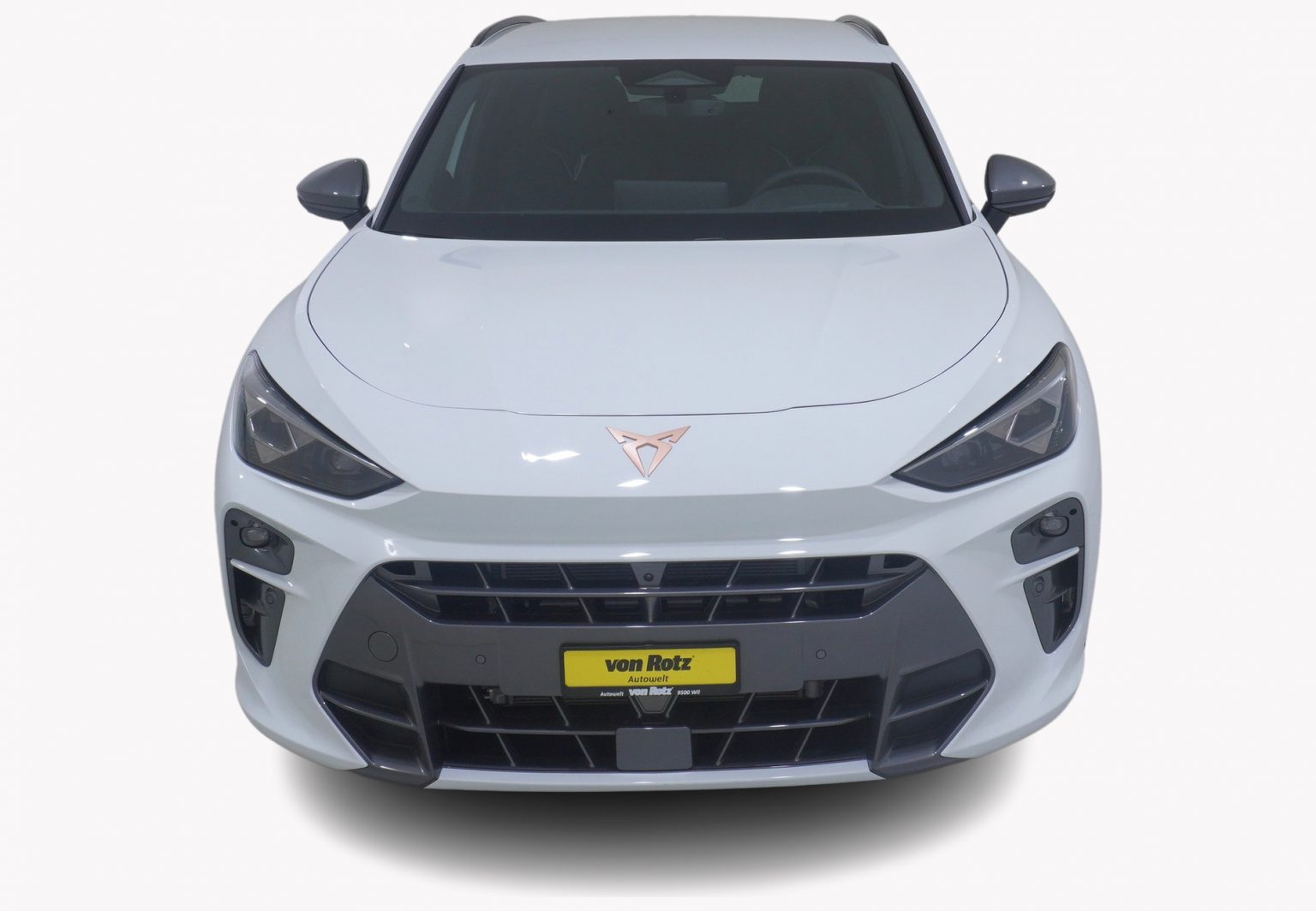 CUPRA Terramar 2.0 TSI 4Drive DSG