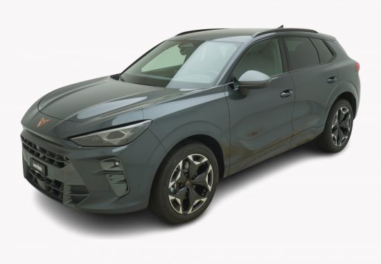 CUPRA Terramar 2.0 TSI 4Drive DSG - Auto Welt von Rotz AG 6