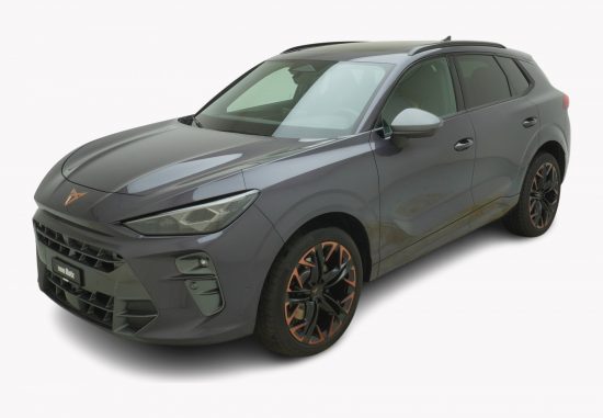 CUPRA Terramar 2.0 TSI VZ 4Drive DSG - Auto Welt von Rotz AG 6