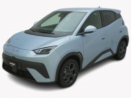 BYD Dolphin Surf Comfort - Auto Welt von Rotz AG