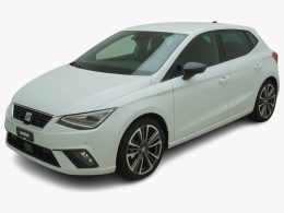SEAT Ibiza 1.0 TSI Anniversary Limited Edition DSG - Auto Welt von Rotz AG