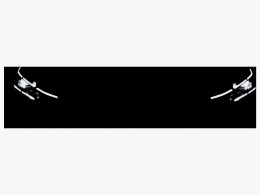 FORD Transit Custom 320 L1 2.0 TDCI 4x4 Trail - Auto Welt von Rotz AG 1