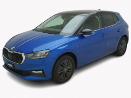 SKODA Fabia 1.0 TSI Selection-Loft - Auto Welt von Rotz AG
