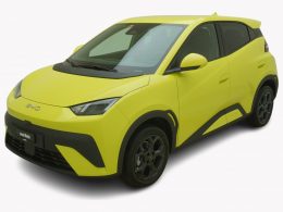 BYD Dolphin Surf Comfort - Auto Welt von Rotz AG 2