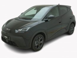 BYD Dolphin Surf Comfort - Auto Welt von Rotz AG