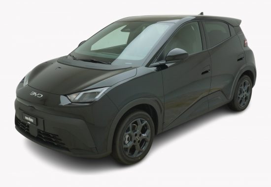 BYD Dolphin Surf Comfort - Auto Welt von Rotz AG