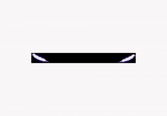 SKODA Fabia 1.0 TSI Monte Carlo DSG - Auto Welt von Rotz AG