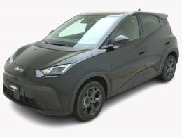 BYD Dolphin Surf Comfort - Auto Welt von Rotz AG