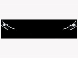 FORD Tourneo Custom 320 L1 2.0 TDCI Titanium X - Auto Welt von Rotz AG 1