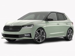 SKODA Fabia 1.0 TSI Monte Carlo DSG - Auto Welt von Rotz AG