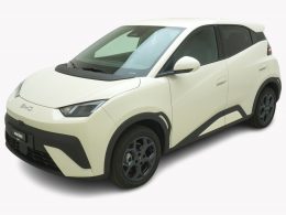 BYD Dolphin Surf Comfort - Auto Welt von Rotz AG