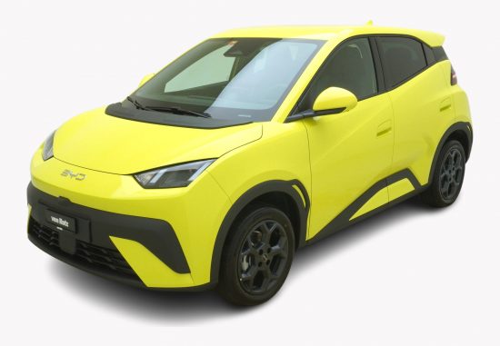 BYD Dolphin Surf Comfort - Auto Welt von Rotz AG 3