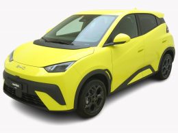BYD Dolphin Surf Comfort - Auto Welt von Rotz AG 4