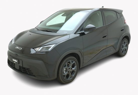 BYD Dolphin Surf Comfort - Auto Welt von Rotz AG 2