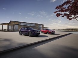 Japanische Ästhetik trifft auf Elektromobilität - unsere Mazda Elektro-Modelle - Auto Welt von Rotz AG